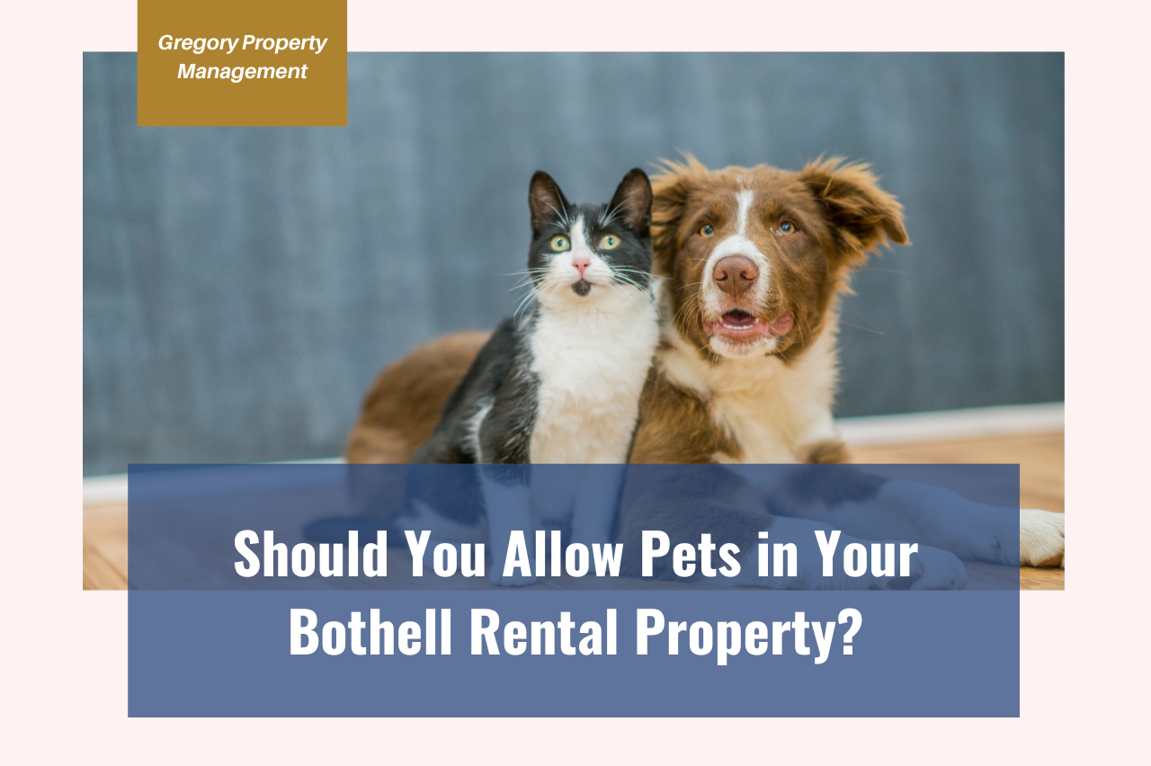 Should You Allow Pets in Your Bothell Rental Property?